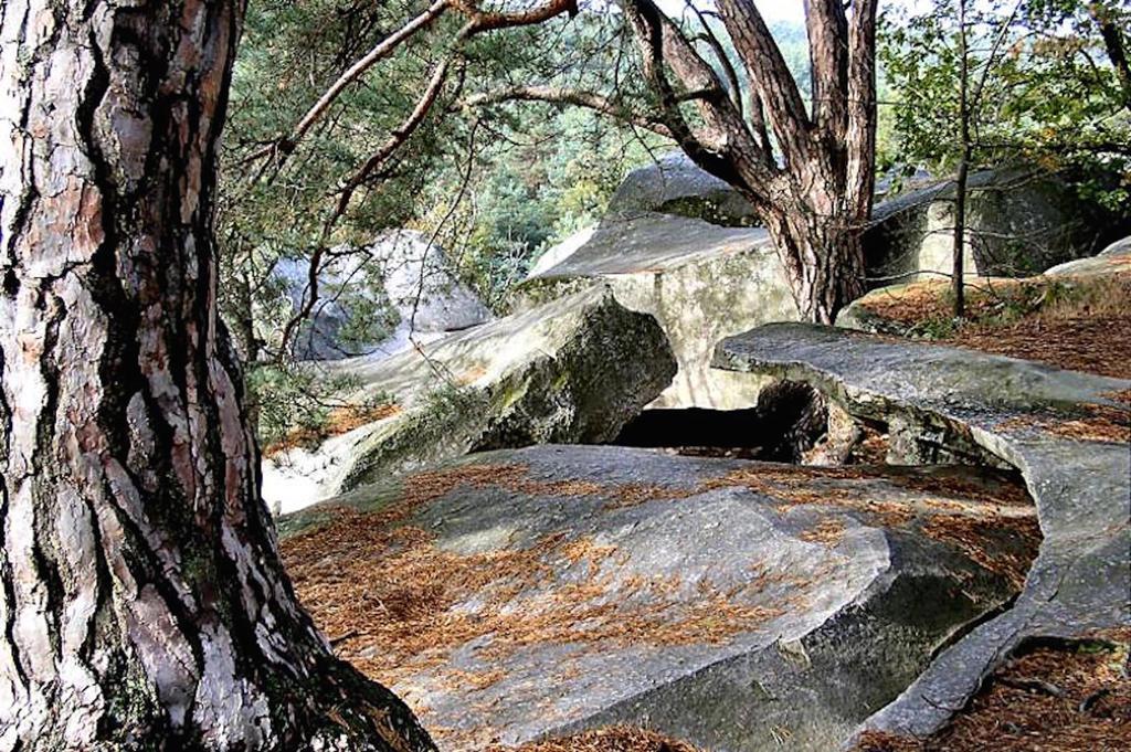 Fontainebleau Sweet Home Buitenkant foto